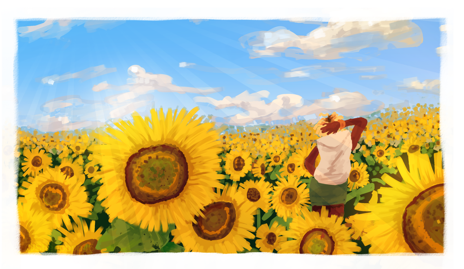 Sunflower